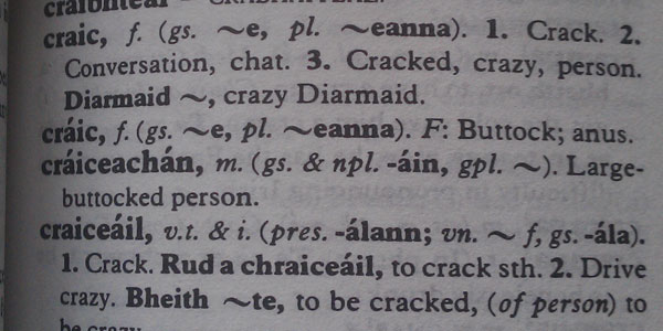 This essay is mostly about the 'craic', not to be confused with the 'cráic'